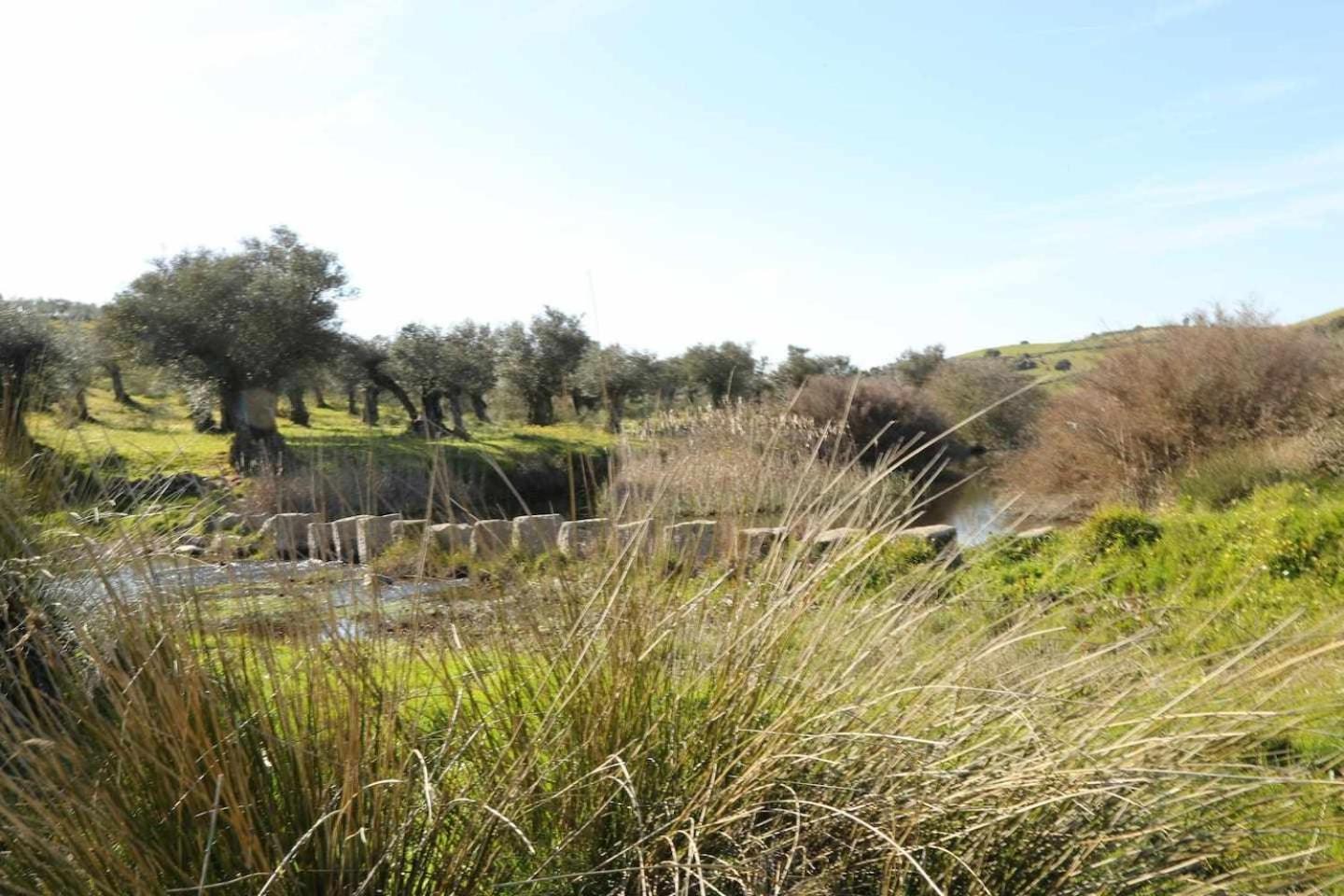 El Olivar Agloipe Ahigal Trcc Bagian luar foto