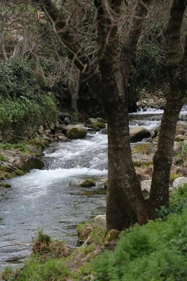 El Olivar Agloipe Ahigal Trcc Bagian luar foto